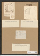 Campylodiscus undulatus Grev. (de-Toni-Nr.: Genus 57, Species 2447) Zeichnungen Sammlung Grunow Nr. 4923 (NHMW-BOT-W0373131)